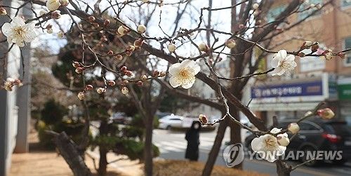 시나브로 봄은 오고
