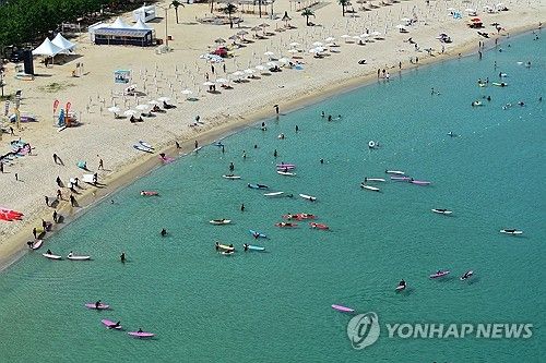 서핑 천국 양양