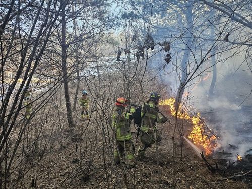 춘천 신북읍 지내리 야산 산불 진화 작업