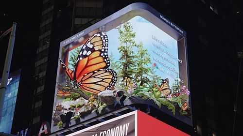 LG전자, 美타임스스퀘어 전광판서 멸종위기 '모나크 나비' 주제 영상 상영