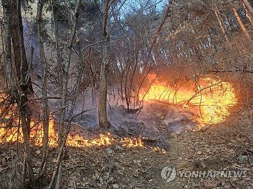 강릉 성산면 칠봉산서 산불