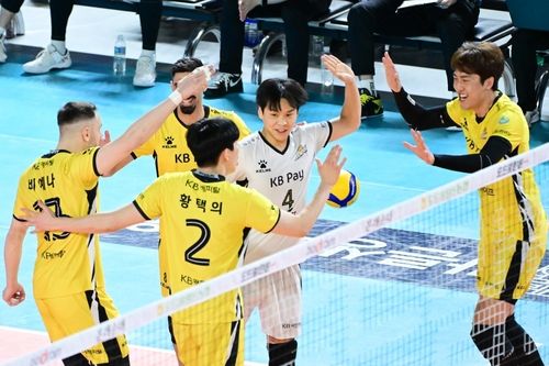 KB손해보험 선수단