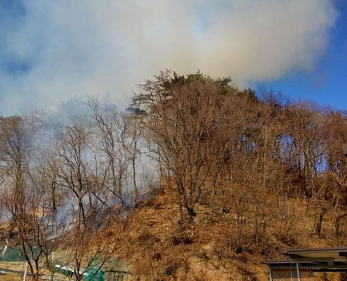 경주 양남면 산불