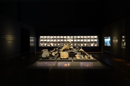 '미륵사지 출토 치미' 특별전 모습 