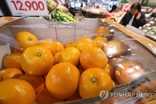 가격 오른 감귤