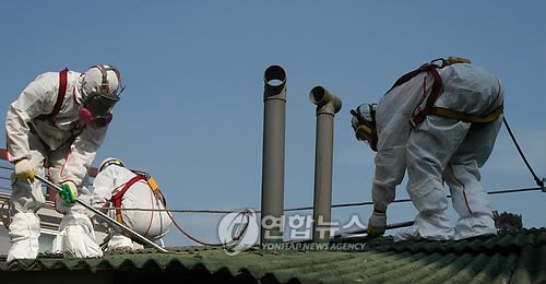 철거중인 발암물질 석면 슬레이트 지붕