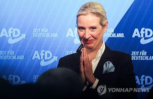 알리스 바이델 AfD 공동대표