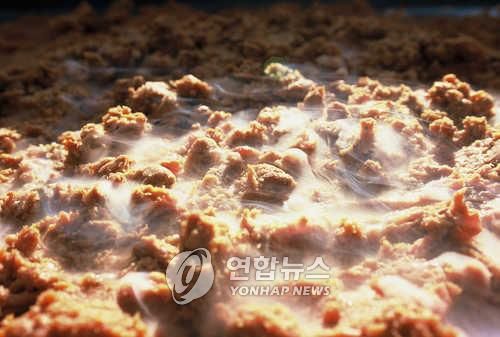 발효되는 된장
