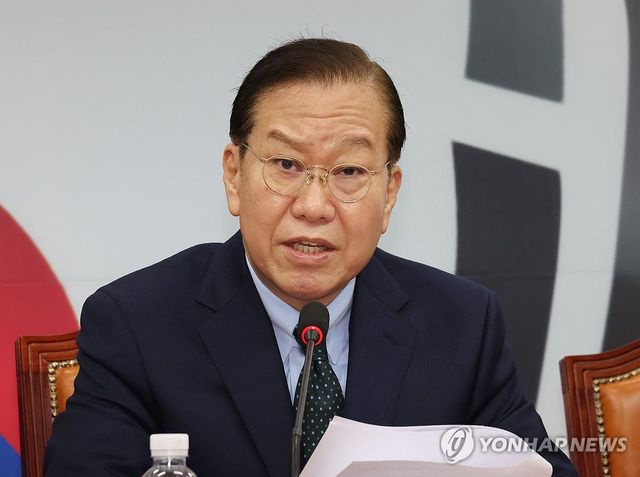 발언하는 권영세 비대위원장