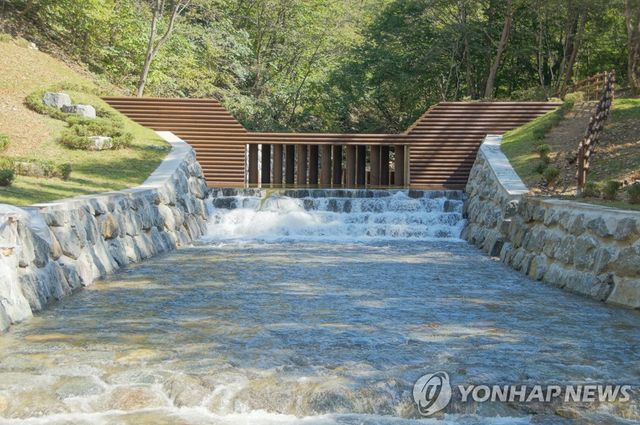 강원 양양 사방댐