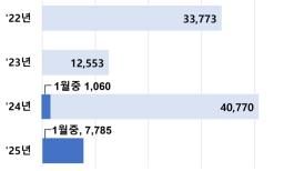 연도별 외화보험 판매 건수