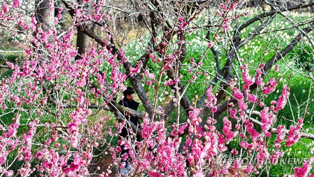 조금 늦었지만 진정 봄이 왔나봄