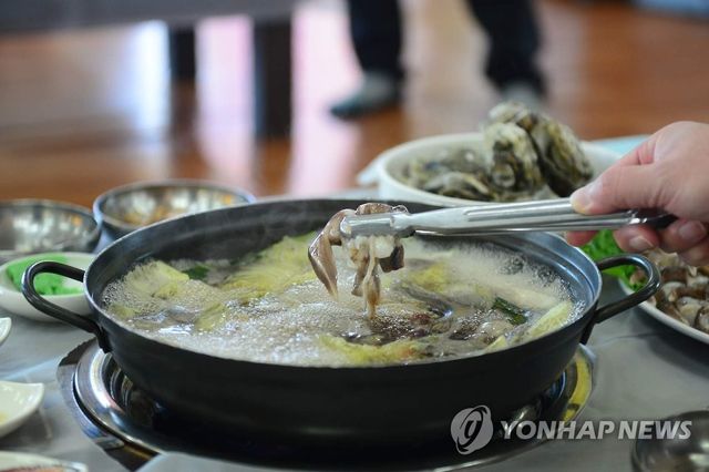 '겨울 별미' 홍성 남당항 새조개