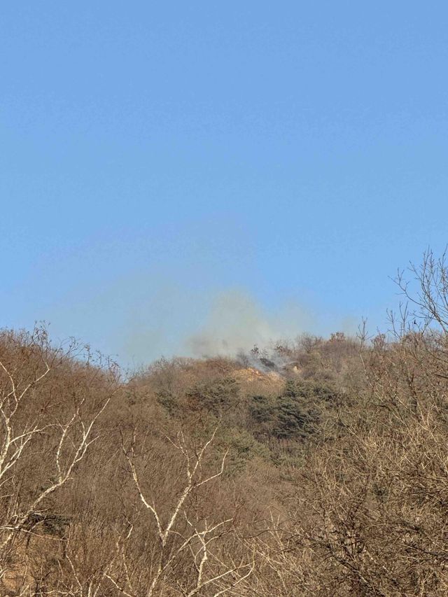 철원 금학산 자락 산불