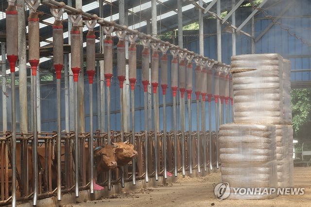 [연합뉴스 자료사진]