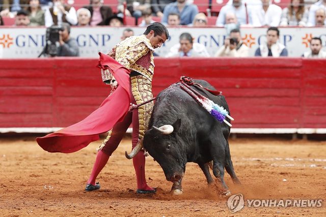 514㎏ 무게 소 앞에 선 멕시코시티 투우사