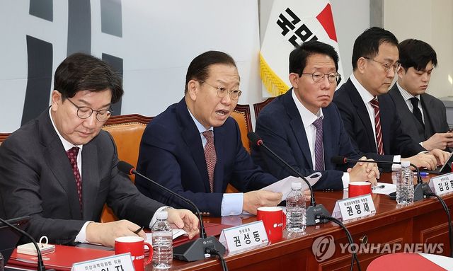 비대위 회의서 발언하는 권영세 비대위원장