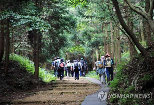 거문오름 오르는 탐방객들