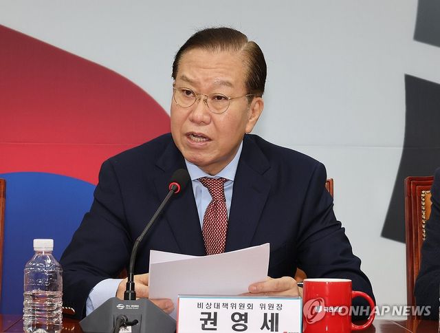 발언하는 권영세 비대위원장