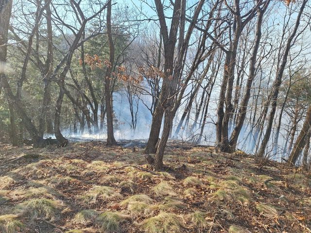 강릉 성산면 산불