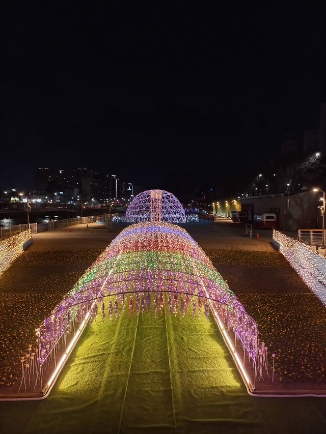 대구 신천 봄 테마 정원