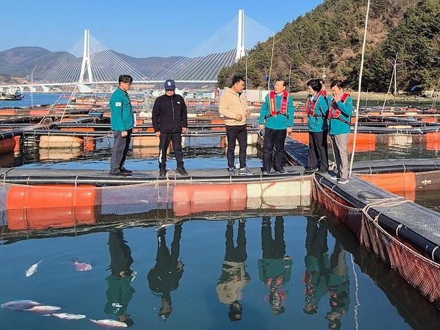 여수 양식장 집단 폐사