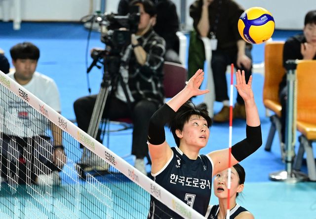 토스하는 한국도로공사의 세터 김다은(중앙)