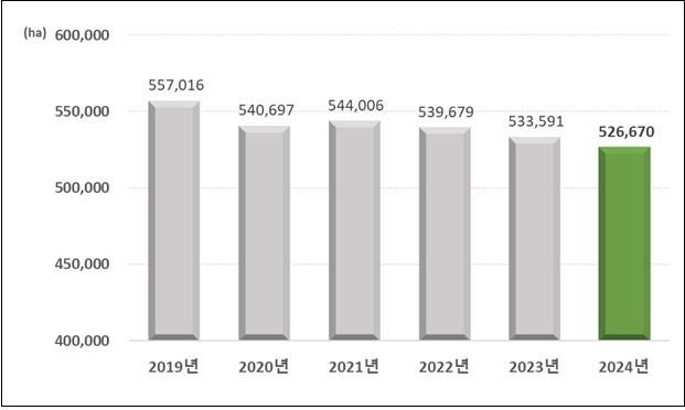 연도별 북한 벼 재배면적