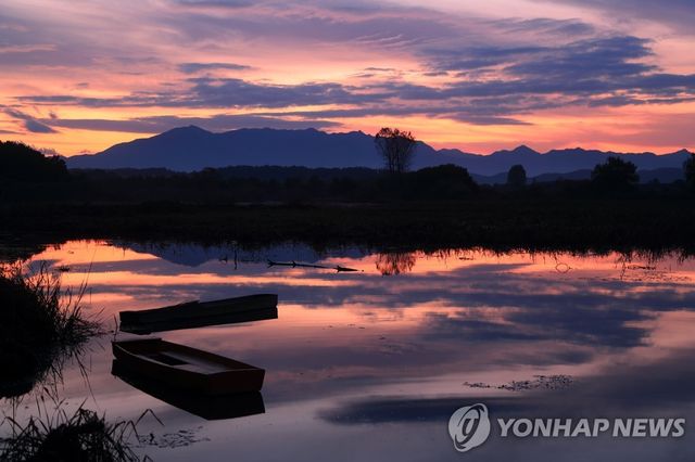 경남 창녕군 우포늪 