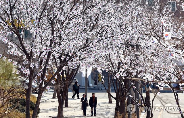 태극기 거리에서 산책