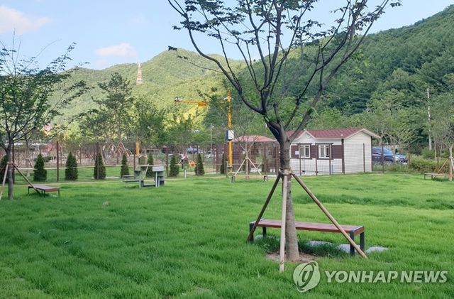 태백 반려동물 놀이터