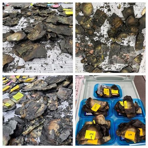 불에 탄 은행권 [한국은행 제공]