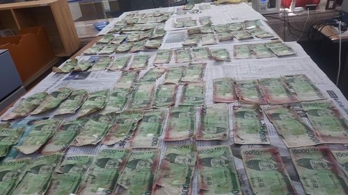 습기로 손상된 은행권 [한국은행 제공]