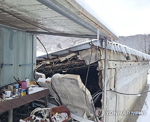 폭설에 완주 돼지농장 붕괴