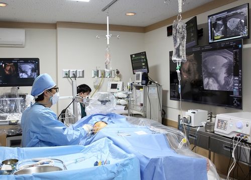 고주파열 치료술