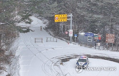제주 산간 폭설에 1100도로 통제
