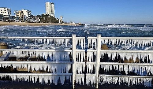 혹한 추위가 만든 바닷물 고드름