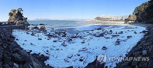 부산 다대포해수욕장 얼린 한파