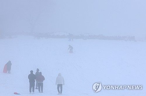 폭설 속 썰매 삼매경