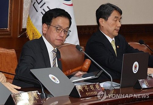국무회의 주재하는 최상목 대통령 권한대행