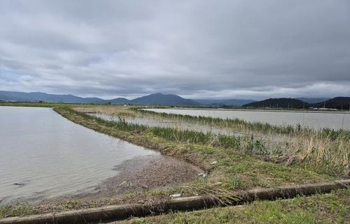 송산지구 침수 모습