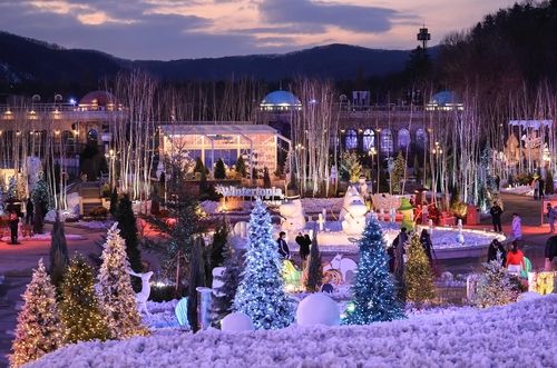 에버랜드 '노르딕 포레스트' 야경