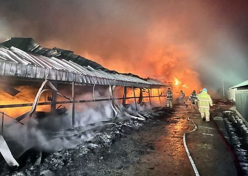 불이 난 보은군 소재 양계장