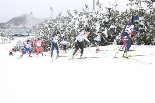 동계체전 바이애슬론 경기 장면