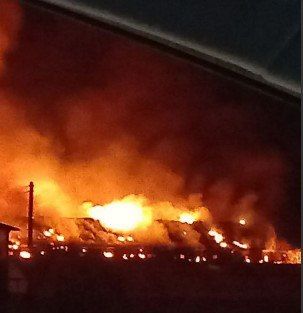 돈사 화재 현장