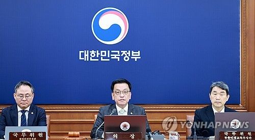 최상목 권한대행 국무회의 발언