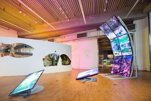 콘텐츠 창제작 유통