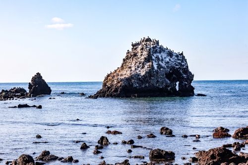 코끼리 바위 [사진/백승렬 기자]