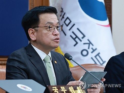 최상목 권한대행 국무회의 발언