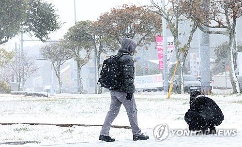폭설 내리는 제주